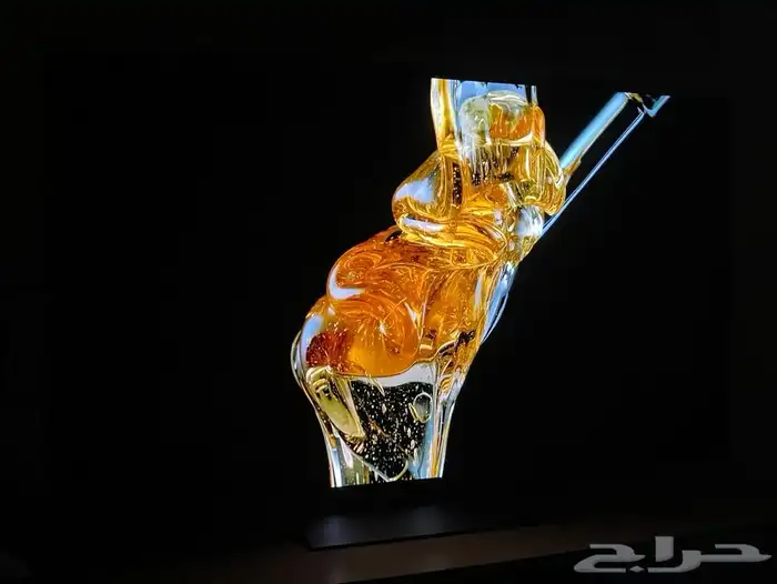 شاشة LG C2 OLED 55 6