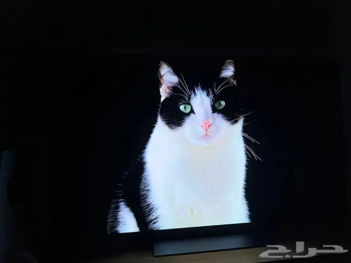 شاشة LG C2 OLED 55 11