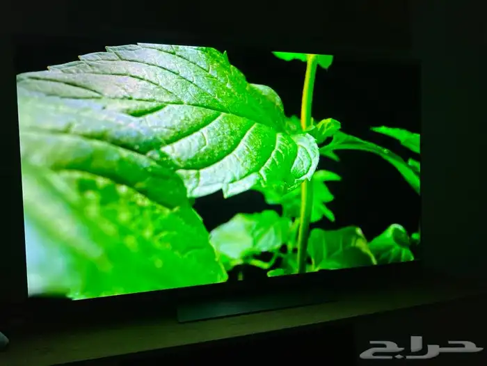 شاشة LG C2 OLED 55 15