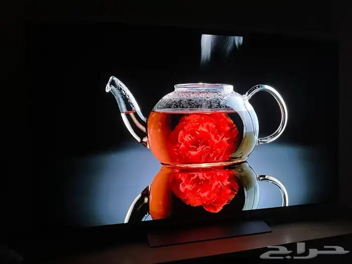 شاشة LG C2 OLED 55 8