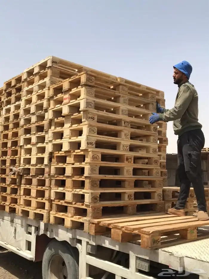 طبليات اوروبي 8