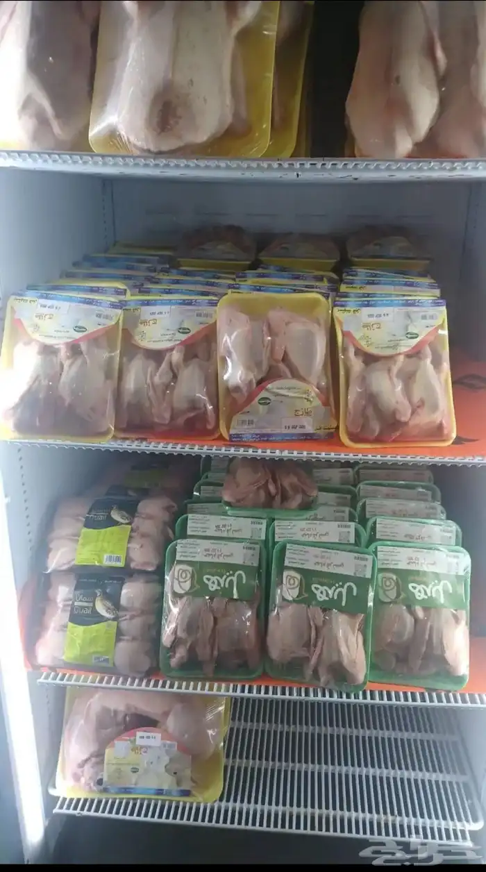 بط حمام سمان ارانب طازجه طريق الثمامه 0