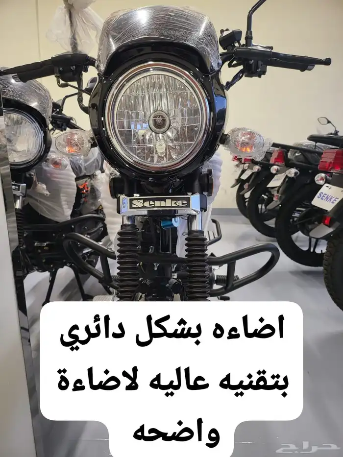 motorcycle show shop دراجات دباب دراجات نارية tamara tabby 4