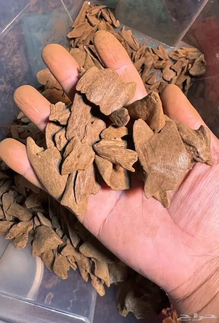 مروكي اصقون دبل وسوبر مرتفع قديم 3