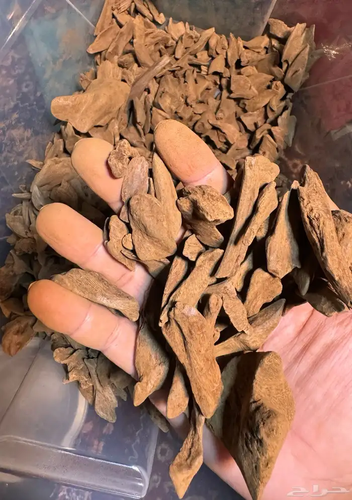 مروكي اصقون دبل وسوبر مرتفع قديم 2