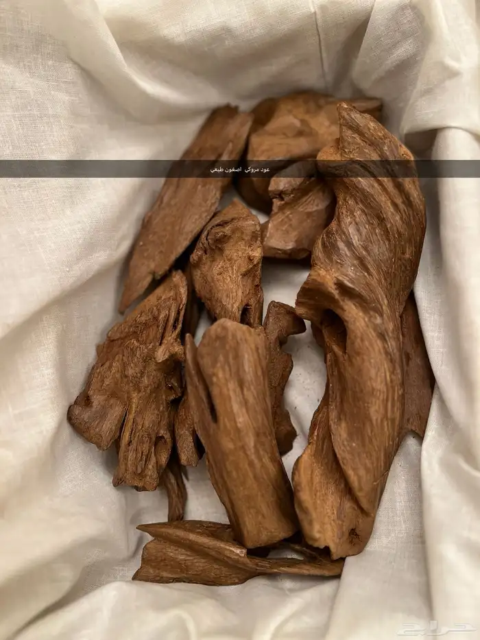 كلمنتان مروكي 1