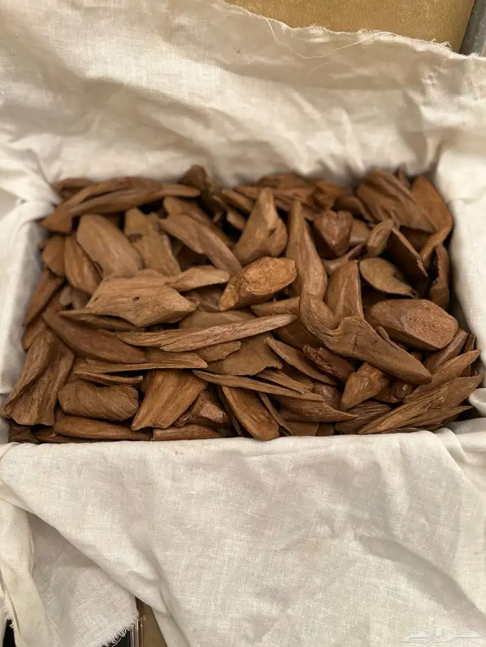 كلمنتان مروكي 2