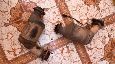 دبات كابرس مفرغة 1