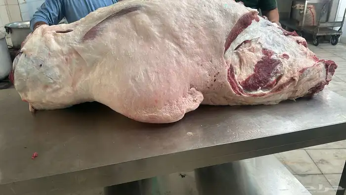 ذبائح ومطابخ العنزان 0