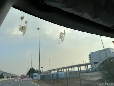 تم البيع الله يبارك للمشتري 63