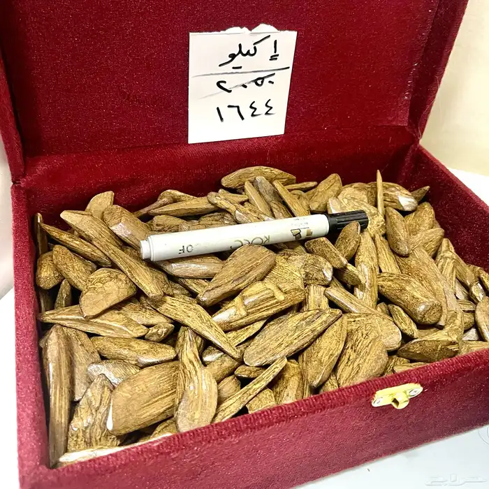عود بخور فاخر شرط بياض وجه 0