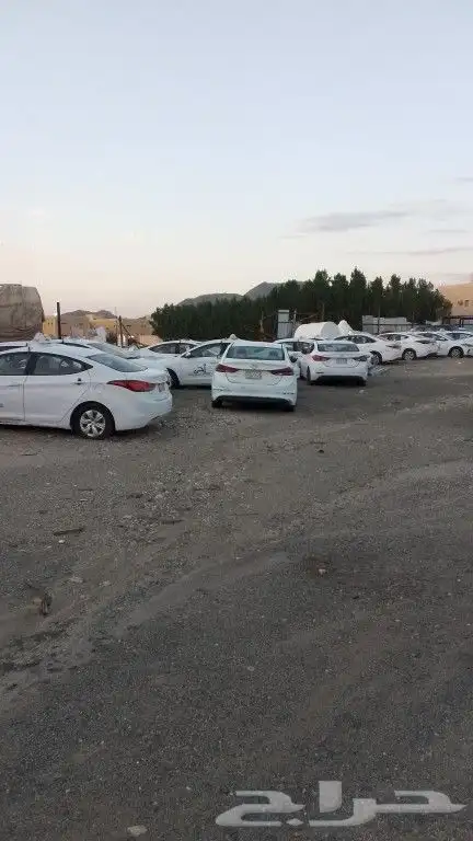 لمزيناات. عدد46النترا ...مديل 2015 0