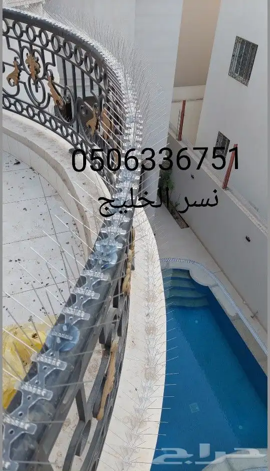 شركة تركيب طارد الحمام بالدمام والخبر والقطيف والظهران 3