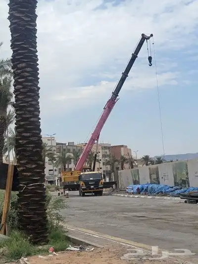 رافعات شوكية للايجار وكرينات شهري يومي 2024 4