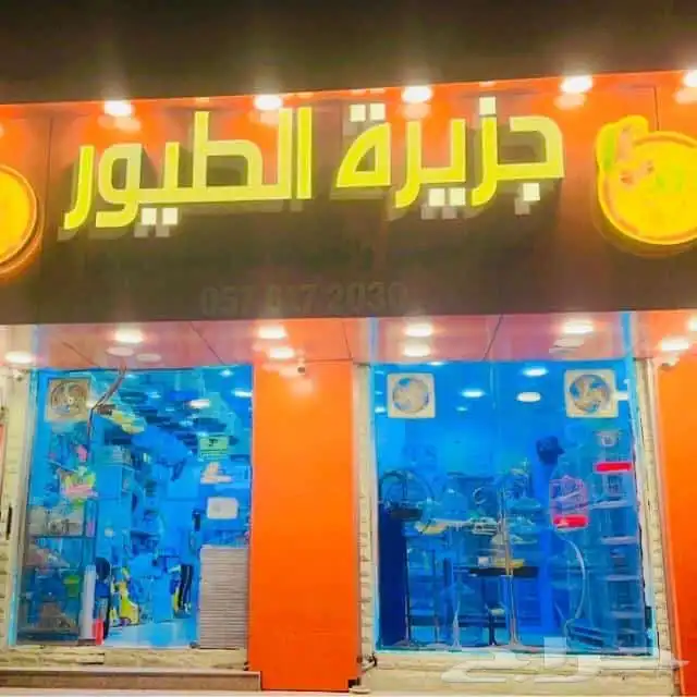 جزيره الطيور خميس مشيط 0