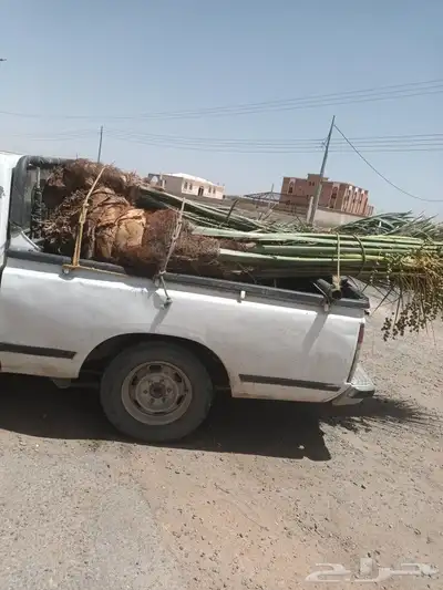 يوجد لدينا جميع انواع انخيل 6