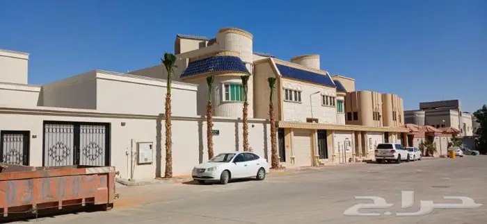 نخل واشنطني زينه ونخل عربي 13
