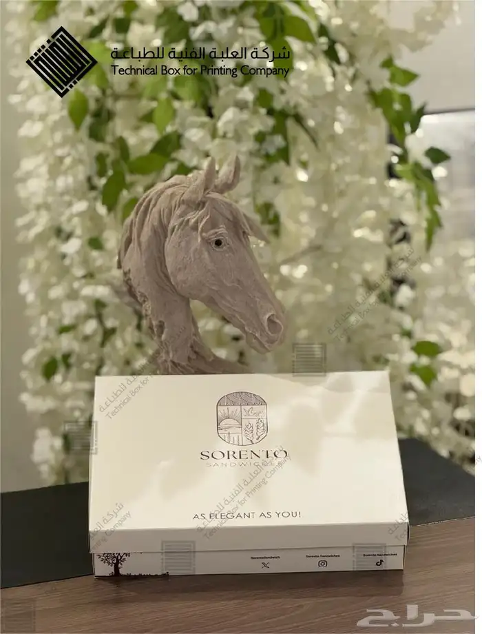 مطابع مطبعة اكياس وبوكسات 10