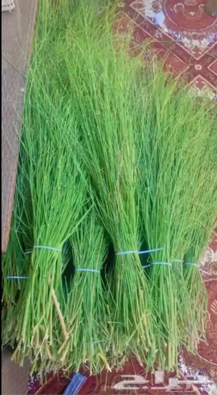 مرخ للحنيذ والمندي 1