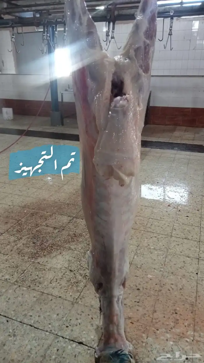 ملحمة ذبائح الحجاز-مخطط البدراني 2
