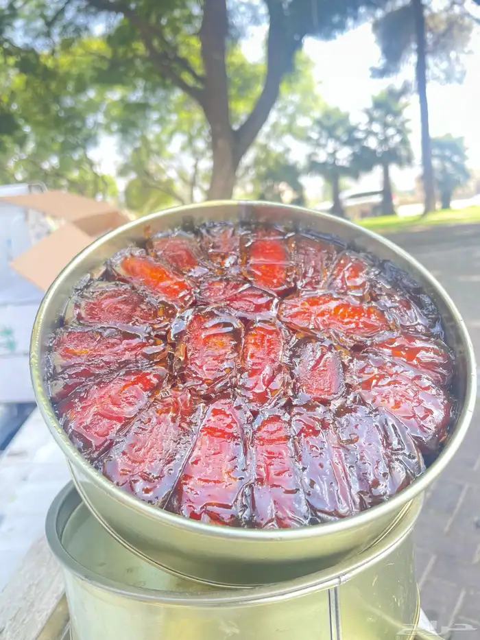 صفري بيشة 4