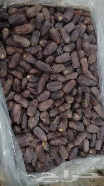 عنبرة نظيفة وطيبة ورخيصة ب20 ريال فقط الكيلو 4