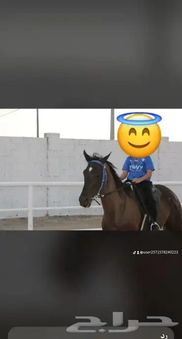 تدريب ركوب خيل 3