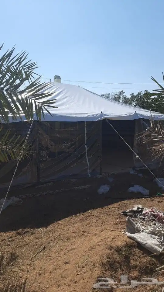 بيوت شعر ملكي شي فاخر من الاخر 3