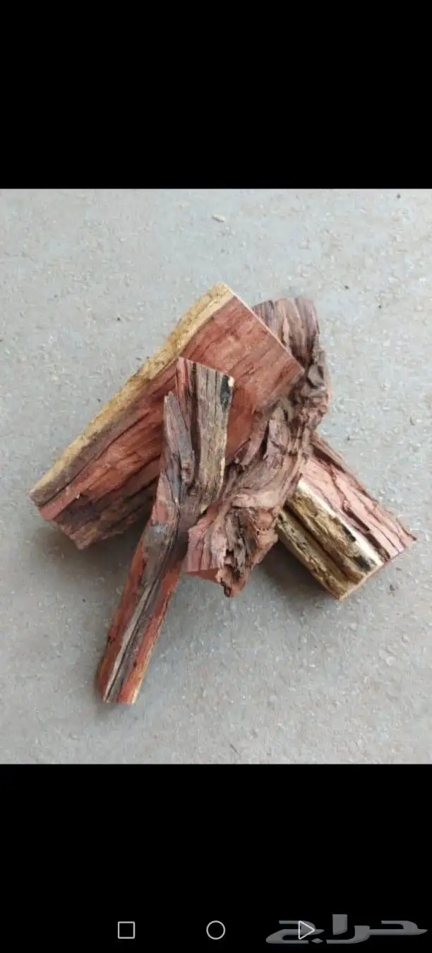 حطب قرض أفريقي 10 كيلو ب 28ريال له أكثر من ثلاث سنوات 2