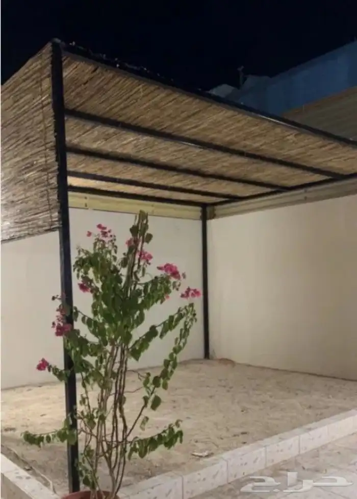 مظلات الخيزران التراثي جلسات خيزران تراثي جميل تراثي قديم 6