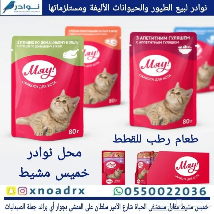 اكل قطط وفيتامينات ورمل والعاب قطط 40