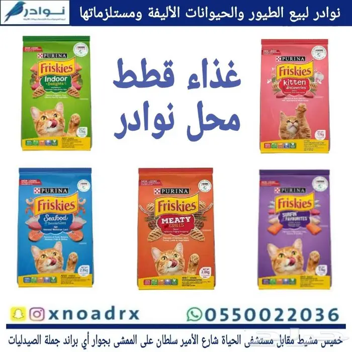 طيور دره كرواون بادجي روز زيبرا محل نوادر لبيع الطيور 82