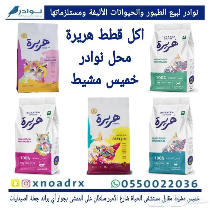طيور زينة ومستلزماتها محل نوادر خميس مشيط 86