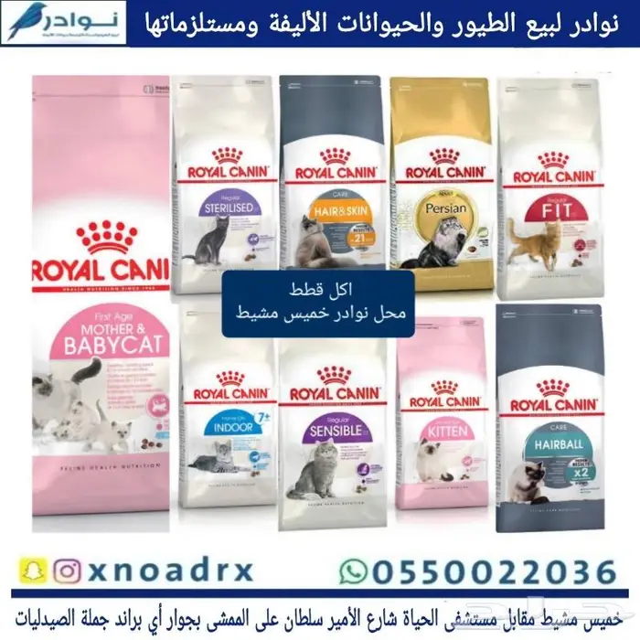 طيور زينة ومستلزماتها محل نوادر خميس مشيط 75