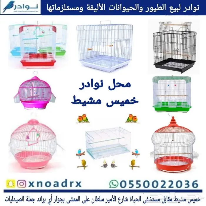 طيور زينة وجميع مستلزماتها نوادر خميس مشيط 56