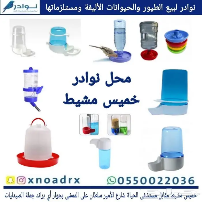 طيور زينة وجميع مستلزماتها نوادر خميس مشيط 57