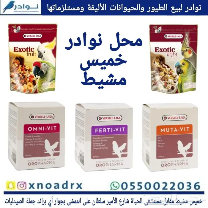 جديد طيور زينة ومستلزماتها نوادر 71
