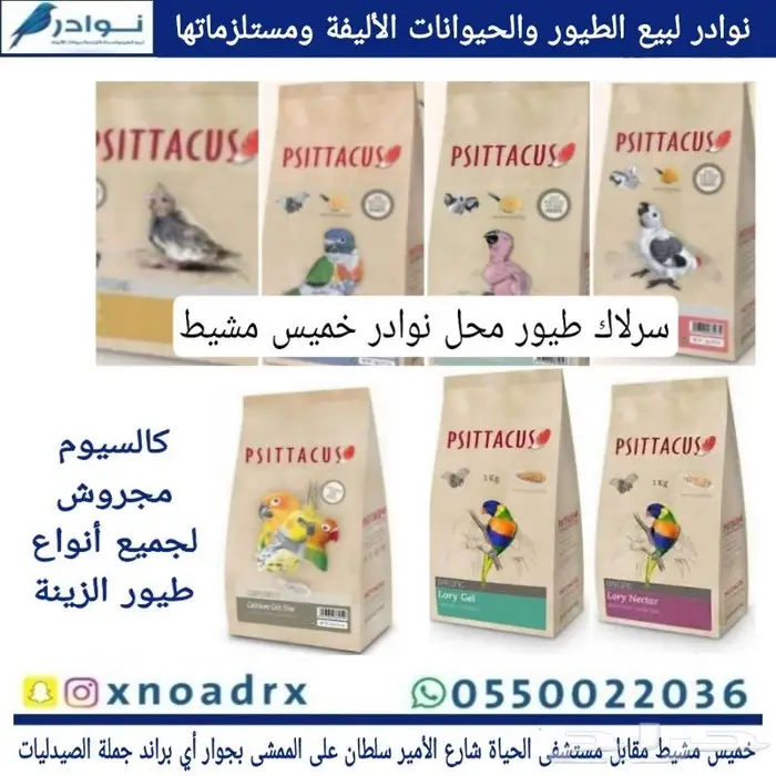 جديد طيور زينة ومستلزماتها نوادر 75