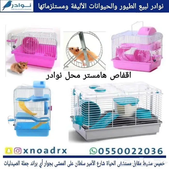 جديد مستلزمات طيور وقطط وهامستر وسلاحف نوادر 91