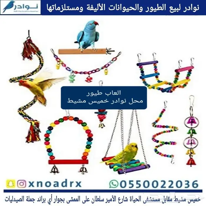 اقفاص و استاندات واعلاف حب طيور زينة وببغاوات 69