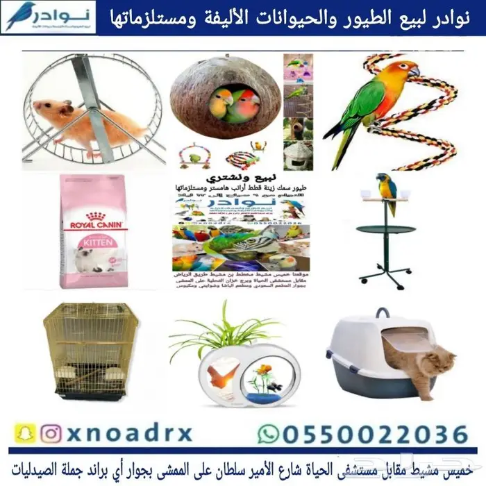اقفاص و استاندات واعلاف حب طيور زينة وببغاوات 61