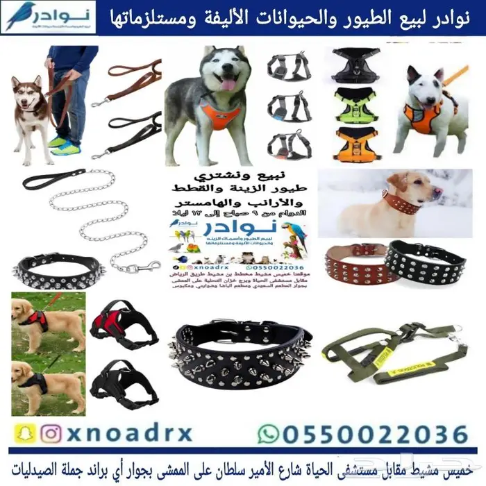 سرلاك فرسل لاقا وستاكوس وحب طيور زينة 93