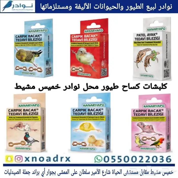 طيور زينة ومستلزماتها محل نوادر خميس مشيط 53