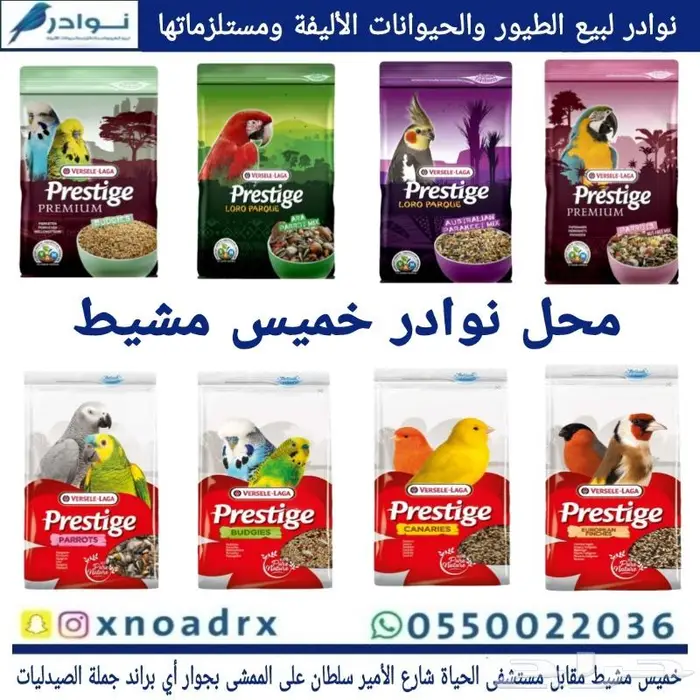 طيور زينة ومستلزماتها محل نوادر خميس مشيط 57