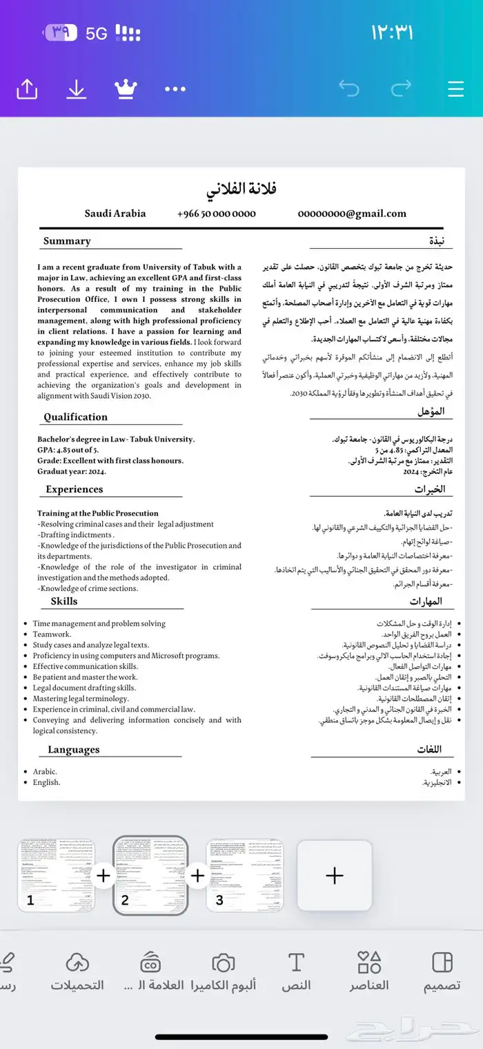 سيرة ذاتية احترافية 0