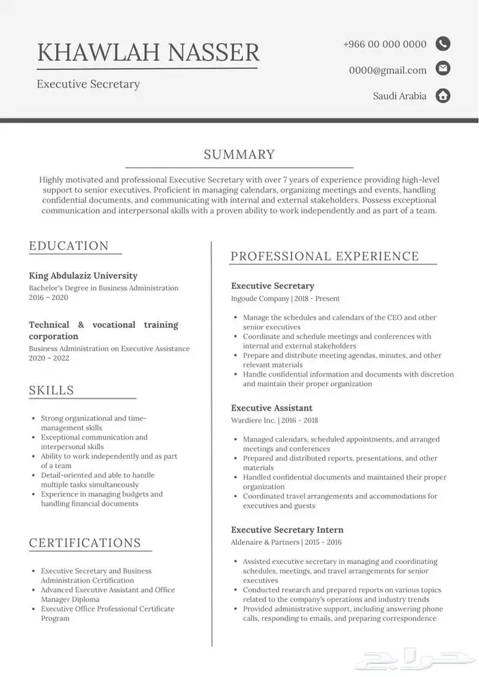 سيرة ذاتية احترافية 1