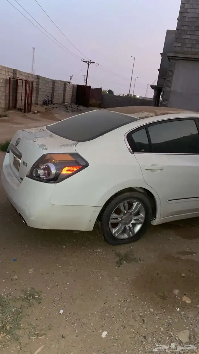 التيما للبيع 3