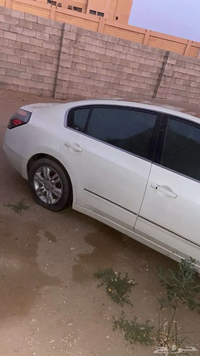 التيما للبيع 0