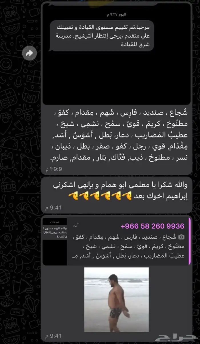 تعليم القيادة السيارة 8