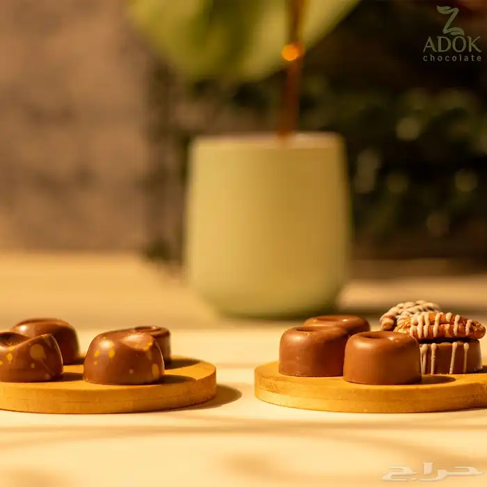 مصور 5
